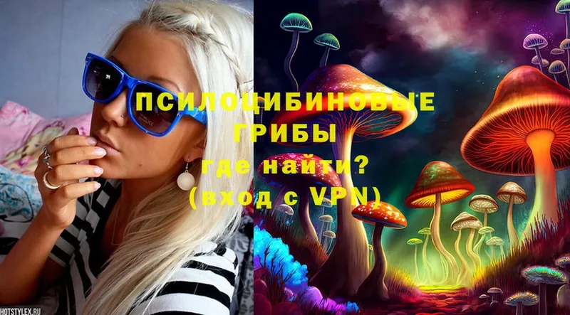 OMG как зайти  Малая Вишера  Галлюциногенные грибы Cubensis 